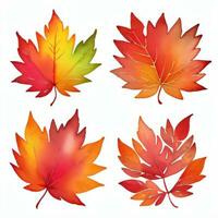 acquerello autunno le foglie clipart foto