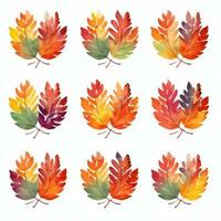 acquerello autunno le foglie clipart foto