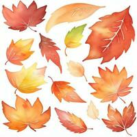 acquerello autunno le foglie clipart foto