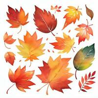 acquerello autunno le foglie clipart foto