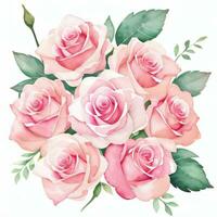 rosa acquerello Rose clipart foto