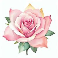 rosa acquerello Rose clipart foto