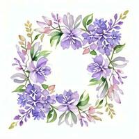 acquerello lilla fiori clipart foto