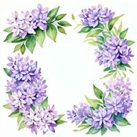 acquerello lilla fiori clipart foto