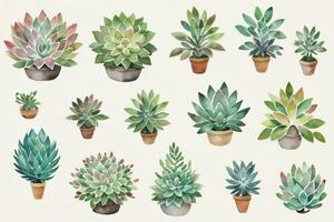 acquerello succulente clipart foto