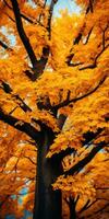 autunno arancia albero caduta tranquillo, calmo paesaggio la libertà scena bellissimo natura sfondo foto