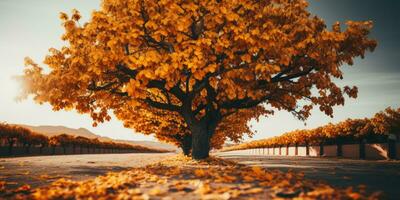 autunno arancia albero caduta tranquillo, calmo paesaggio la libertà scena bellissimo natura sfondo foto