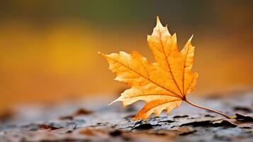 autunno arancia albero caduta tranquillo, calmo paesaggio la libertà scena bellissimo natura sfondo foto