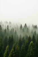 aereo Visualizza foresta autunno tranquillo, calmo paesaggio la libertà scena bellissimo natura sfondo foto