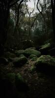 foresta fiume silenzio la tranquillità grazia paesaggio armonia riposo quiete unità armonia fotografia foto