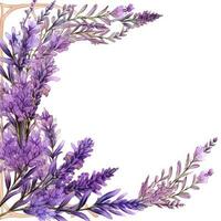 lavanda floreale telaio saluto carta scrapbooking acquerello dolce illustrazione confine nozze foto