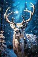 renna su neve. maestoso animali, innevato alberi, e un' stellato cielo. foto