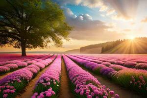 un' campo di viola fiori con il sole splendente. ai-generato foto
