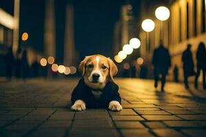 un' cane nel un' completo da uomo seduta su il terra a notte. ai-generato foto