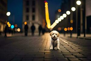 un' piccolo cane in piedi su un' strada a notte. ai-generato foto