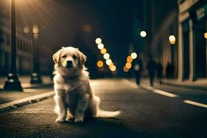 un' cane seduta su il strada a notte. ai-generato foto