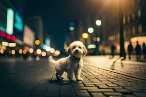 un' piccolo bianca cane in piedi su un' mattone strada a notte. ai-generato foto