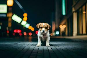 un' cucciolo sta su il strada a notte. ai-generato foto