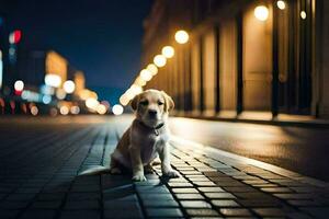 un' cucciolo si siede su il strada a notte. ai-generato foto