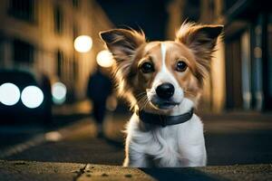 un' cane è in piedi nel il mezzo di un' strada a notte. ai-generato foto