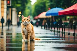 un arancia gatto seduta su il terra nel il pioggia. ai-generato foto