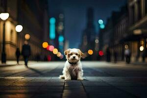 un' piccolo cane seduta su il strada a notte. ai-generato foto