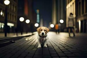 un' cane è in piedi su un' mattone strada a notte. ai-generato foto