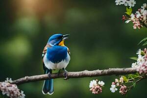 un' blu e giallo uccello è seduta su un' ramo con fiori. ai-generato foto