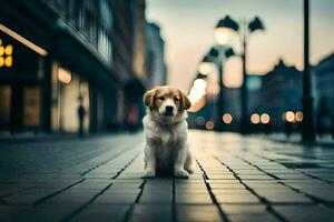 un' cane seduta su il strada nel il città. ai-generato foto