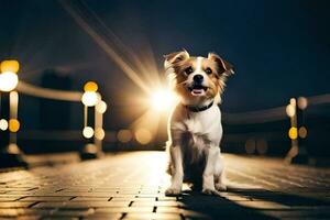 un' cane seduta su un' mattone passerella a notte. ai-generato foto