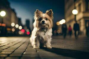 un' piccolo cane è in piedi su un' ciottolo strada a notte. ai-generato foto