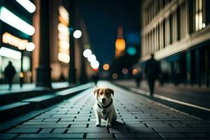 un' cane seduta su il strada a notte. ai-generato foto