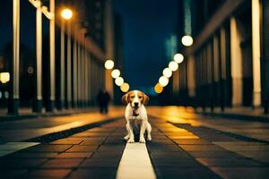 un' cane in piedi su un' strada a notte. ai-generato foto