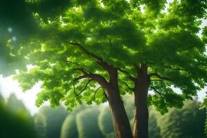 un' albero nel il mezzo di un' foresta. ai-generato foto