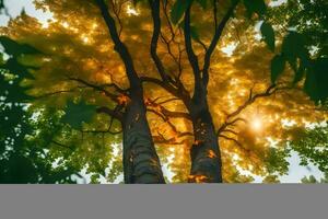 il sole brilla attraverso il le foglie di un' albero. ai-generato foto