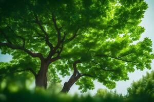 un' albero è mostrato nel il distanza con verde le foglie. ai-generato foto