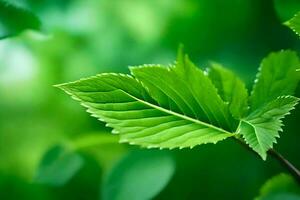 un' vicino su di un' verde foglia su un' albero. ai-generato foto