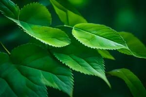 verde le foglie su un' albero. ai-generato foto