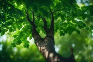 un' albero con verde le foglie nel il luce del sole. ai-generato foto