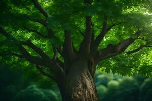 un' albero è mostrato nel il luce del sole con verde le foglie. ai-generato foto