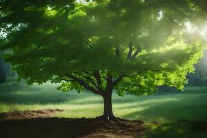 un' albero nel il mezzo di un' campo. ai-generato foto