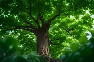 un' albero è visto nel il luce del sole attraverso il le foglie. ai-generato foto