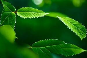 verde le foglie su un' albero. ai-generato foto