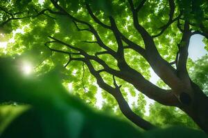 il sole brilla attraverso il le foglie di un' albero. ai-generato foto