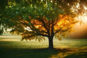 un' albero nel il sole con il sole splendente attraverso esso. ai-generato foto