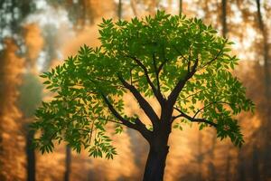 un' albero nel il mezzo di un' foresta con luce del sole. ai-generato foto