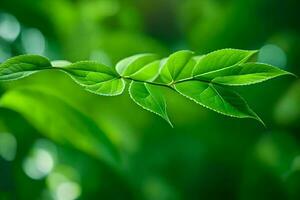 un' vicino su di un' foglia su un' verde sfondo. ai-generato foto