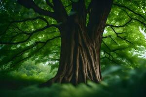 un' grande albero nel il mezzo di un' verde foresta. ai-generato foto