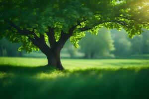 un' albero nel il mezzo di un' verde campo. ai-generato foto