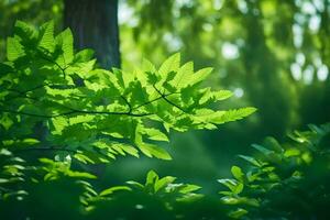 verde le foglie nel il foresta. ai-generato foto